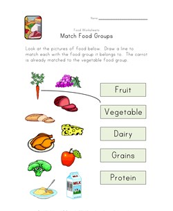 match food groups worksheet