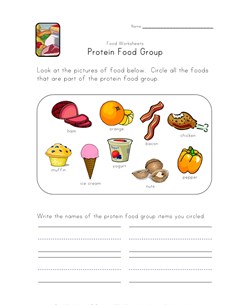 protein food group worksheet