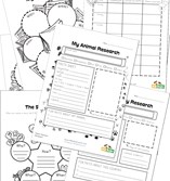 graphic organizers